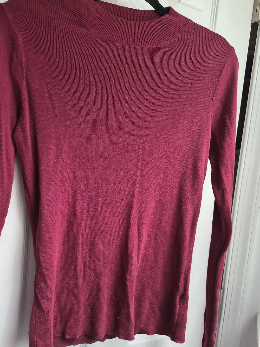 Express Women's Fitted Long Sleeve Turtleneck Sweater in Berry
